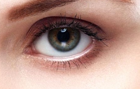 上海肋骨鼻專家綜合評測：評估戴傳昌、李圣利、陳付國、王會勇等專家能力