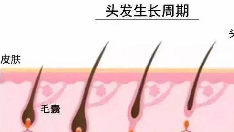 徐州市中心醫(yī)院整形美容科的醫(yī)生介紹及鼻子手術(shù)費用如何？