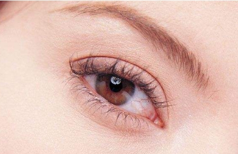 魏皎VS戴傳昌：選擇醫(yī)生資質(zhì)_口碑_擅長項(xiàng)目，全面PK！附詳解鼻部整形