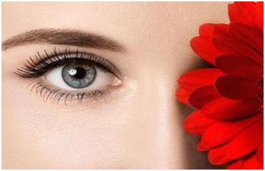 鄭康和河?xùn)|鎬哪位醫(yī)生更適合輪廓手術(shù)？醫(yī)療專才列表，實(shí)力橫向比較！