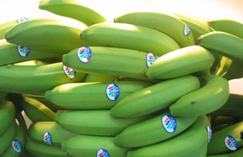 臂部和腹部的瘦身攻略是什么？