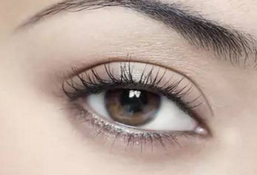 沈國雄醫(yī)生鼻形術：2023年度真實案例分析