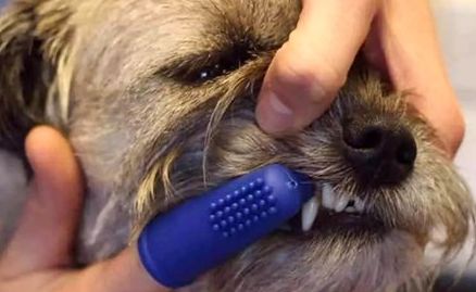 西安女子醫(yī)院醫(yī)美專家榜單，醫(yī)療精英不可錯過