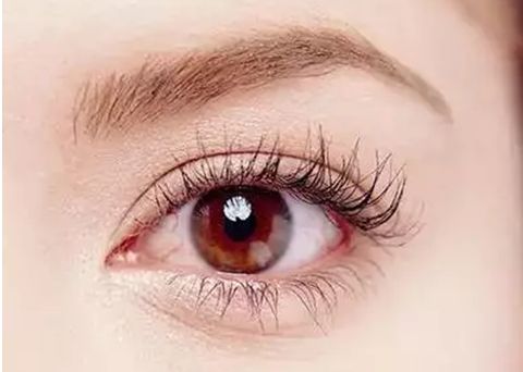 廈門哪家眼部整形醫(yī)院比較靠譜？一線醫(yī)院、技術(shù)、行業(yè)翹楚等值得關(guān)注