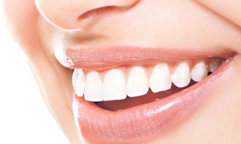 芭比堂動(dòng)物醫(yī)院：是您寵物的理想選擇嗎？