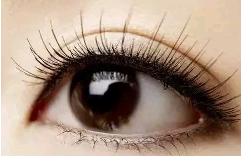 杭州熙禾醫(yī)療美容究竟如何？看看坐診醫(yī)生和價格表是否值得了解！