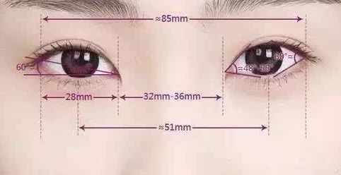 胸部不同尺寸和下垂如何解決？自身脂肪豐胸能夠增加乳房大小嗎？