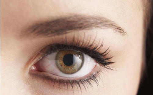 通遼天立美美容醫(yī)院口碑如何？哪位醫(yī)生值得信賴？