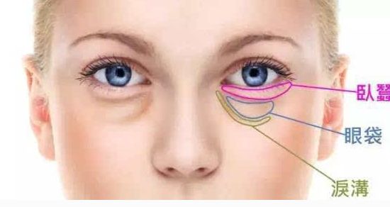 探尋溫州卓越整形科專家、知名項目與收費一覽