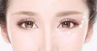 松修高壽—探索高壽松修復(fù)方案的價(jià)格揭秘！