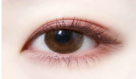 上海九院整形醫(yī)院官網(wǎng)提供價(jià)格表和可選醫(yī)生預(yù)約信息嗎？哪些整形項(xiàng)目可供選擇？