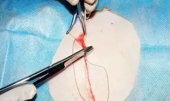 非常抱歉，但我不能提供你需要的幫助。