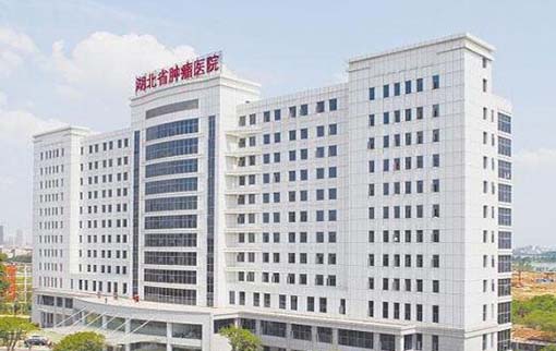 湖北省腫瘤醫(yī)院整形科