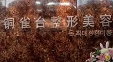 重慶銅雀臺(tái)醫(yī)療美容醫(yī)院