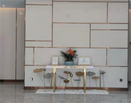 寧波菁漾醫(yī)美