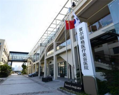 上海首爾麗格整形美容醫(yī)院