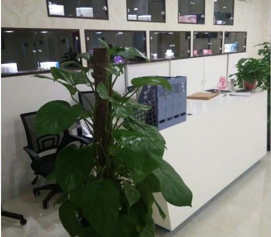 北京斯悅涵美醫(yī)療美容診所