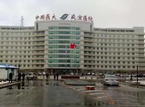 沈陽(yáng)盛京醫(yī)院整形科