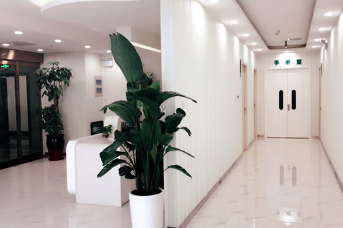 鄭州枝蔓醫(yī)療美容整形醫(yī)院