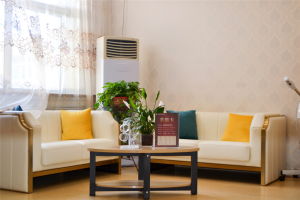 大同鳳凰醫(yī)療美容