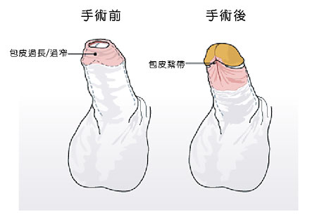 2023長沙頭發(fā)再生專家整理：頂級(jí)植發(fā)醫(yī)生推薦奉上