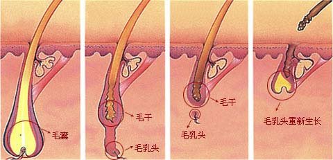 2023年哈爾濱玻尿酸去除抬頭紋醫(yī)院排名榜單top10指南