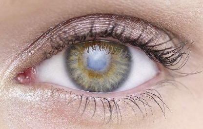 首家公開(kāi)評(píng)選！2023年新鄉(xiāng)市值得信賴的鼻孔整形醫(yī)院排行榜大揭曉！