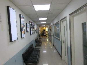 上海明珠醫(yī)院自體軟骨隆鼻有何優(yōu)勢？可以維持多久？