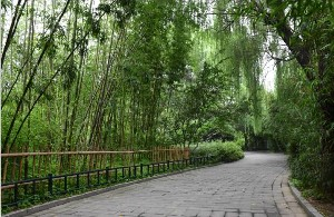 北京海醫(yī)悅美整形面部填充適應(yīng)癥有哪些？多久消腫？