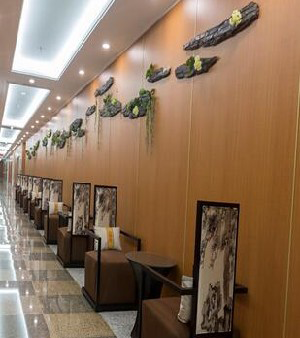 東北國際醫(yī)院整形美容再生醫(yī)學(xué)中心