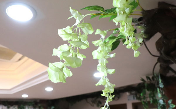 上海華美醫(yī)療美容醫(yī)院