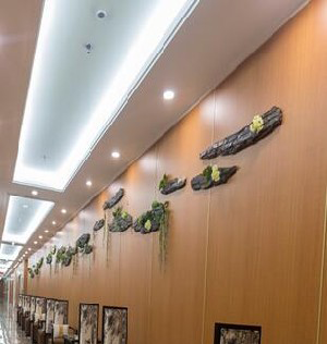 東北國際醫(yī)院整形美容再生醫(yī)學(xué)中心