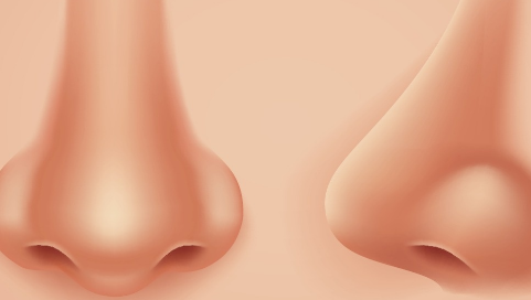 北京隆鼻整形醫(yī)院哪里好？十家正規(guī)機(jī)構(gòu)供你挑選！