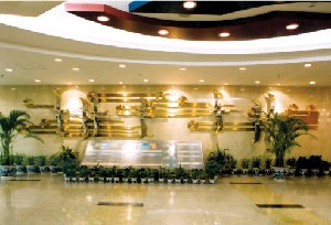 北京大學第一醫(yī)院整形燒傷外科_北京大學第一醫(yī)院整形燒傷外科