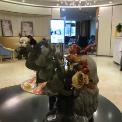 成都華人醫(yī)聯(lián)麗元醫(yī)療美容門(mén)診部_大廳