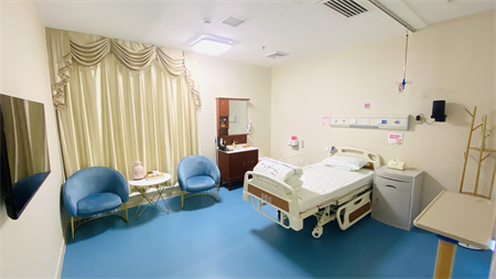西安醫(yī)學(xué)院第二附屬醫(yī)院醫(yī)學(xué)美容中心_vip病房