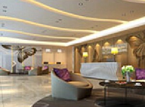 北京碧薇億星(原金鳳凰）整形美容醫(yī)院