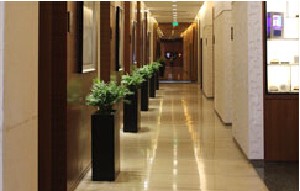 煙臺(tái)壹美整形美容醫(yī)院