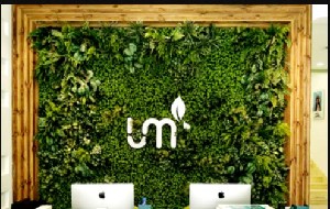 沈陽(yáng)李淼醫(yī)療美容診所